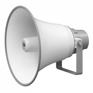 Paging speaker